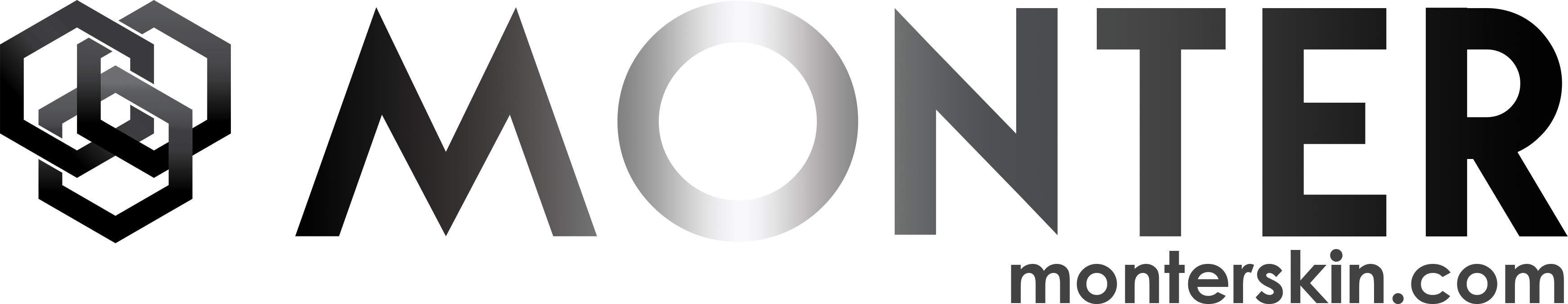 Logo of Monter with the website URL monterskin.com